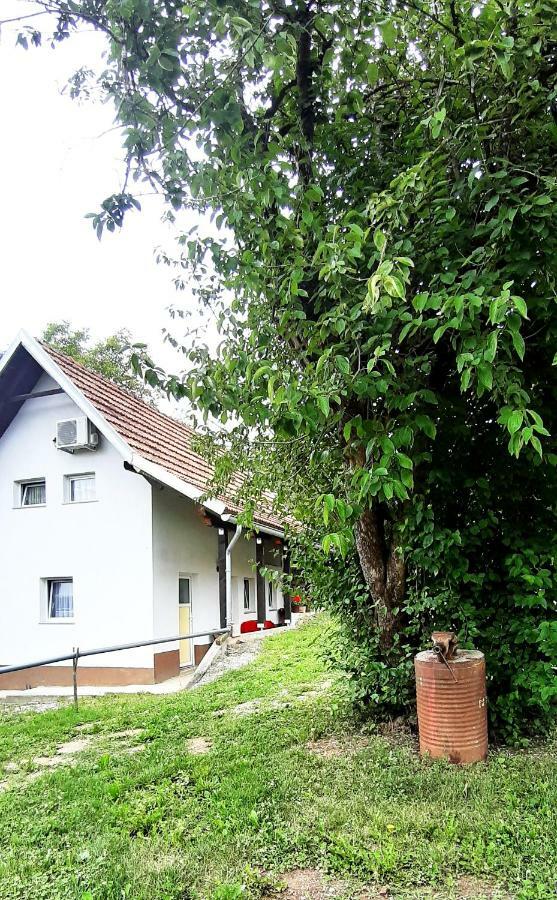 Apartman Nino Tounj Zewnętrze zdjęcie