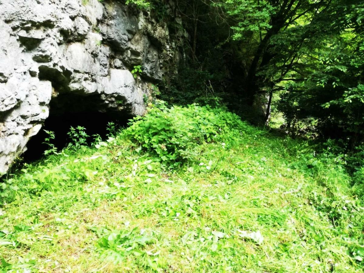 Apartman Nino Tounj Zewnętrze zdjęcie
